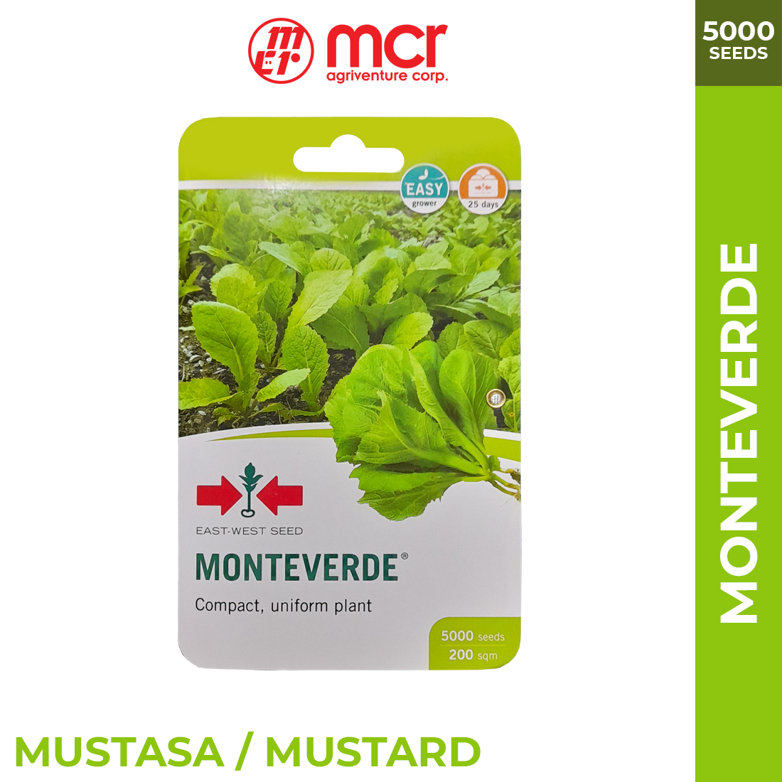 Monteverde