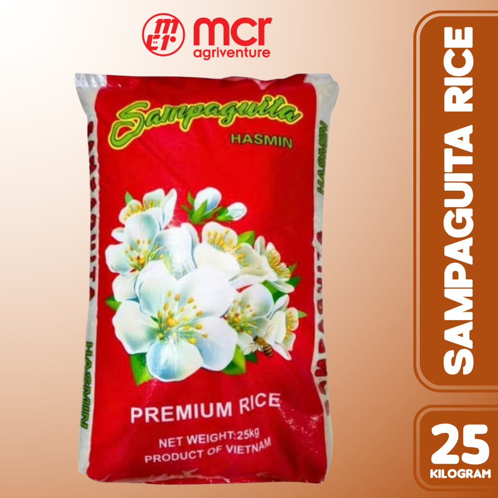 Sampaguita Hasmin 