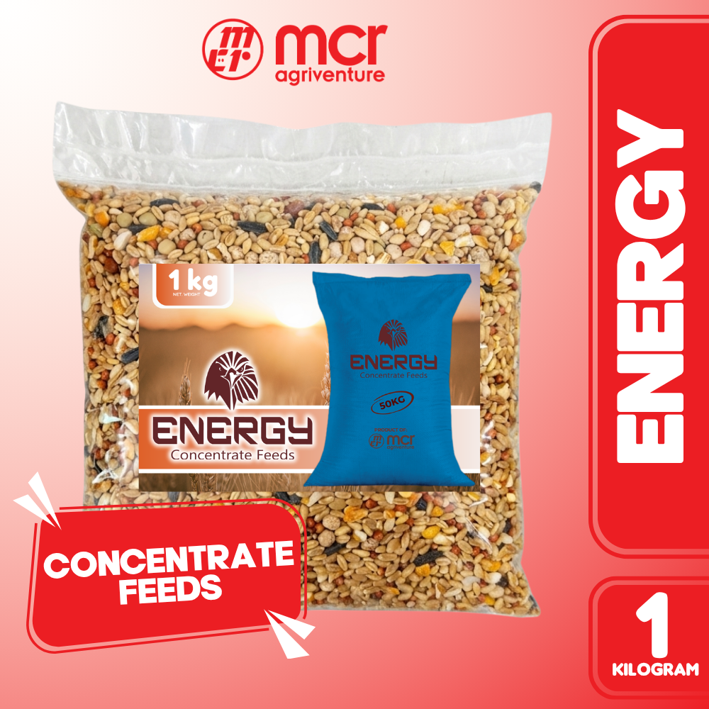 ENERGY CONCENTRATE 