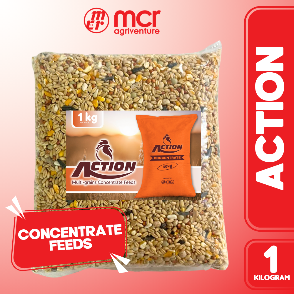 ACTION CONCENTRATE 