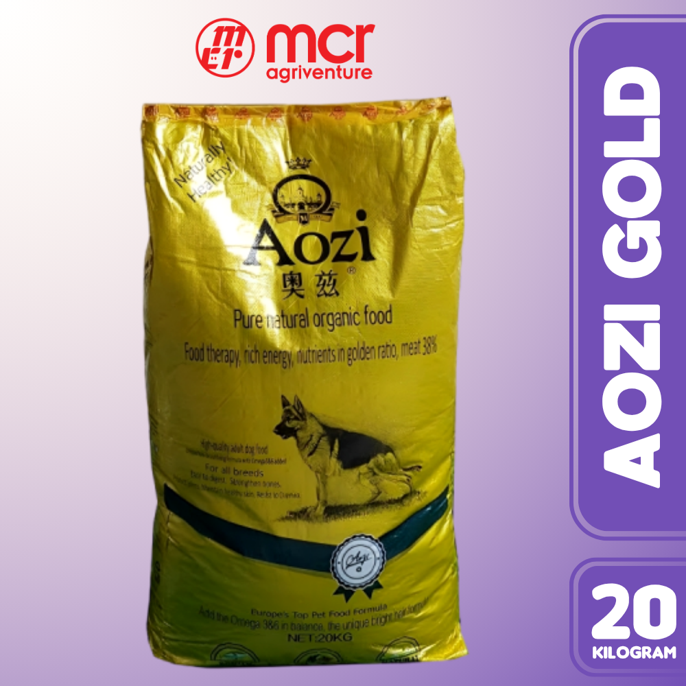 AOZI ADULT GOLD