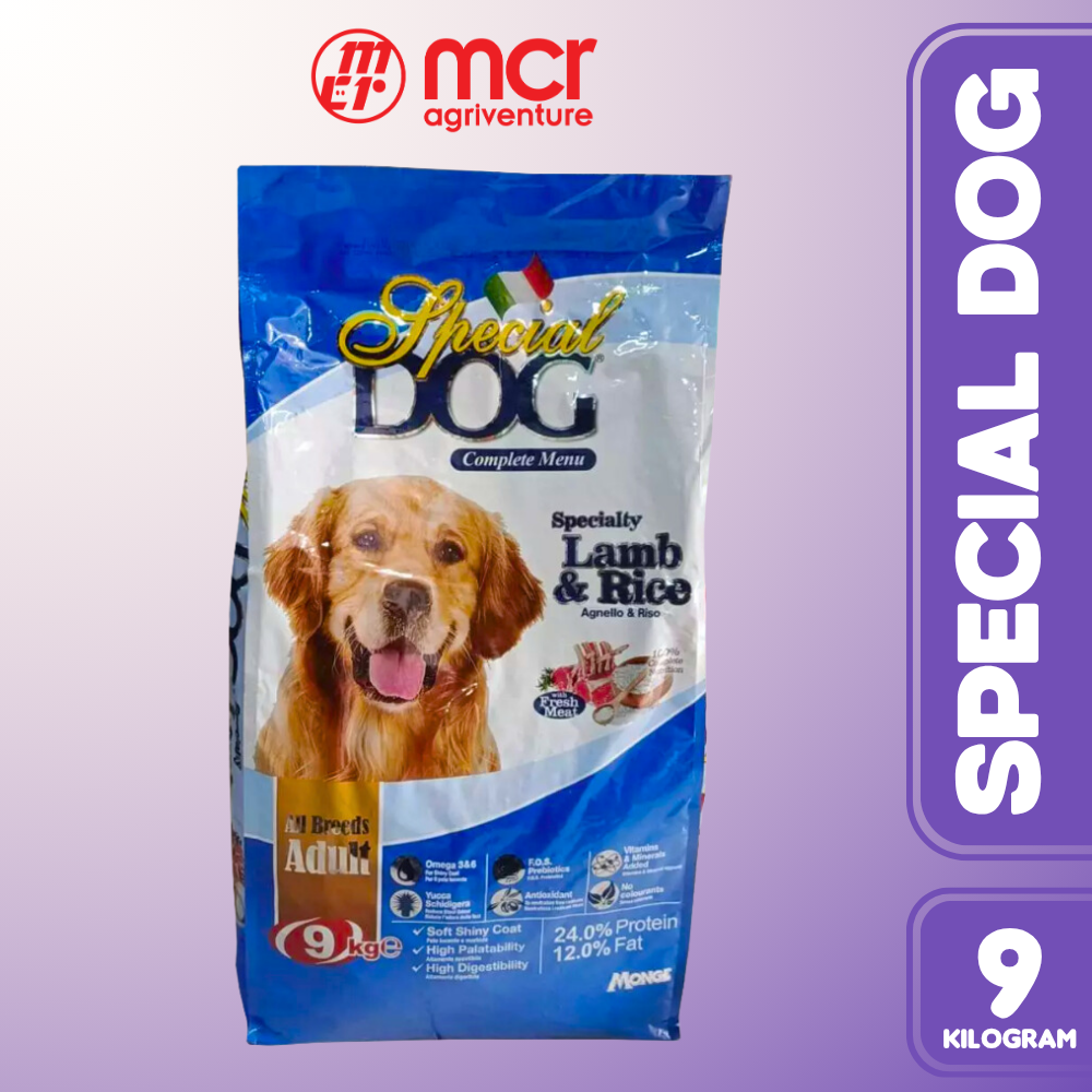 SPECIAL DOG ADULT