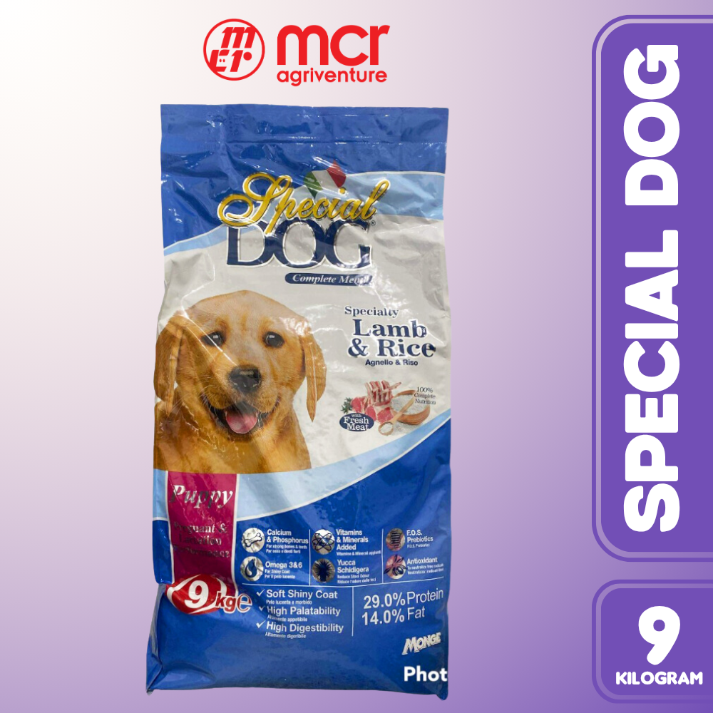 SPECIAL DOG PUPPY